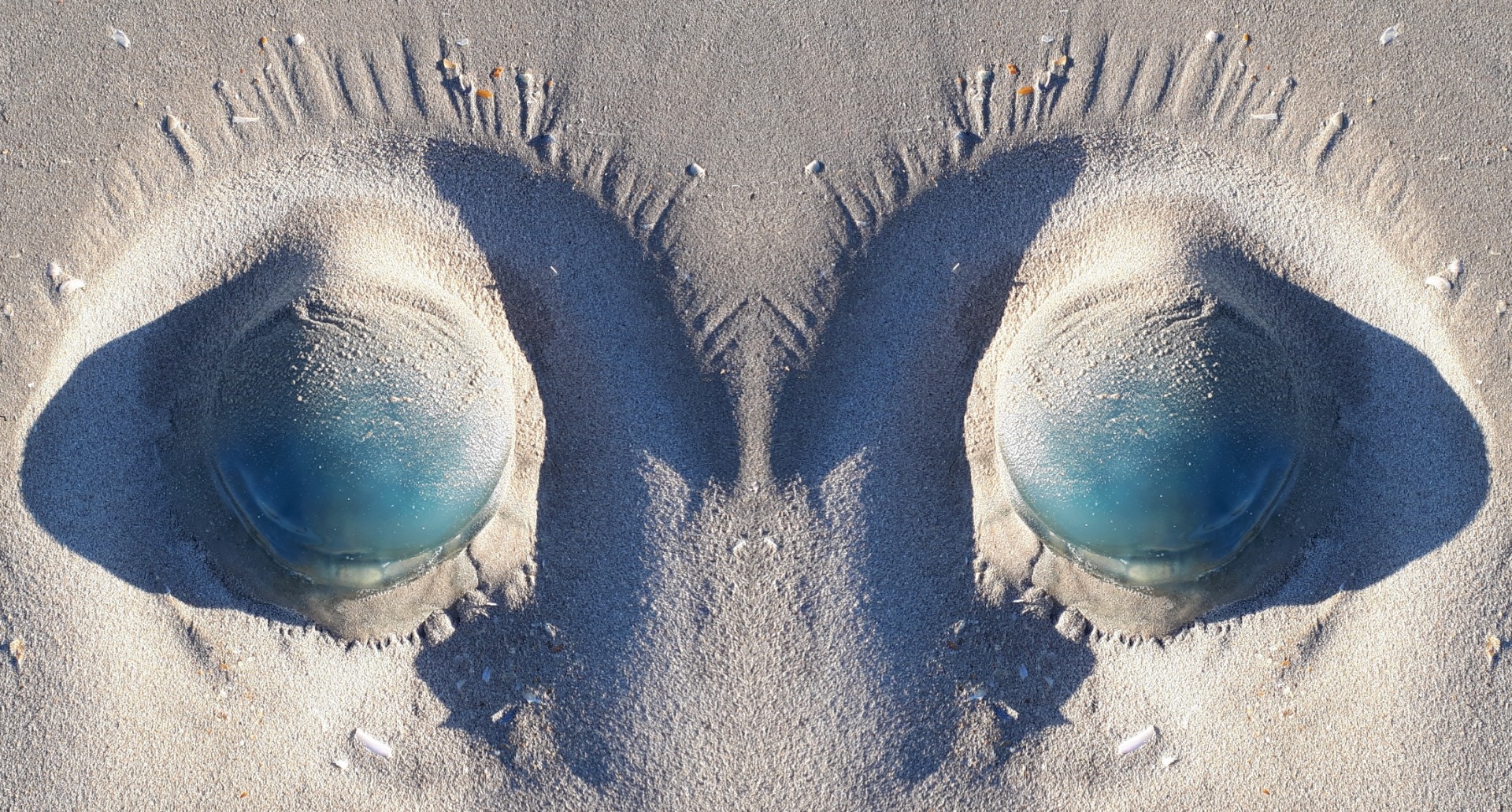 Un regard...médusé