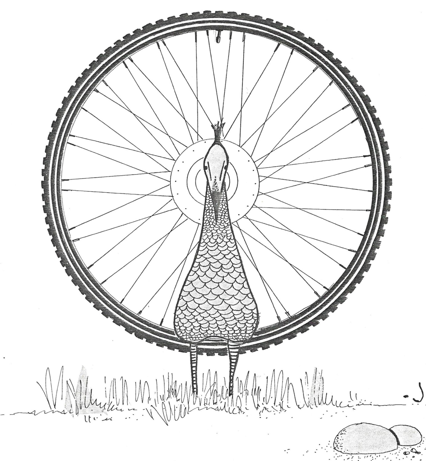 Il y a des choses qui lui échappe !