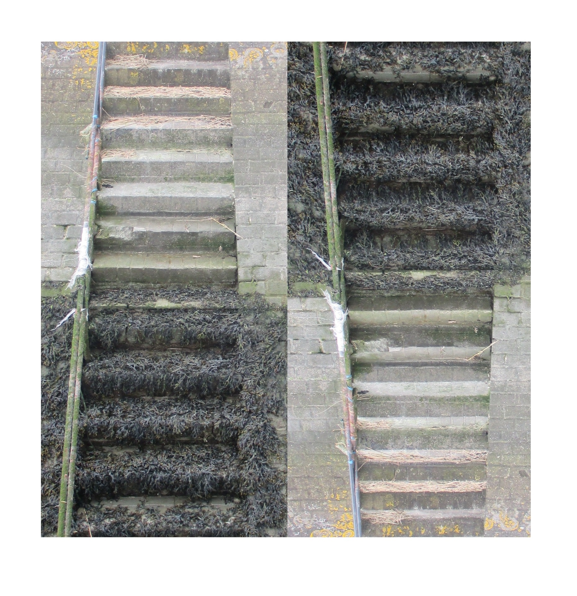 Les escaliers de nulle part