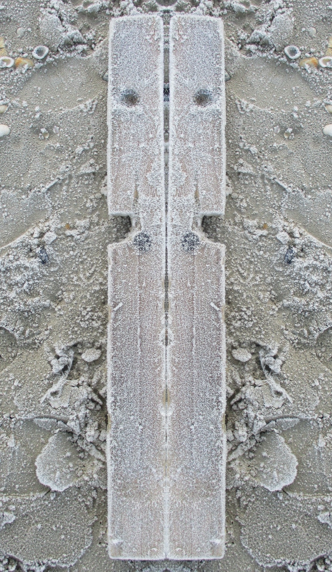 Hommage à Minnebo